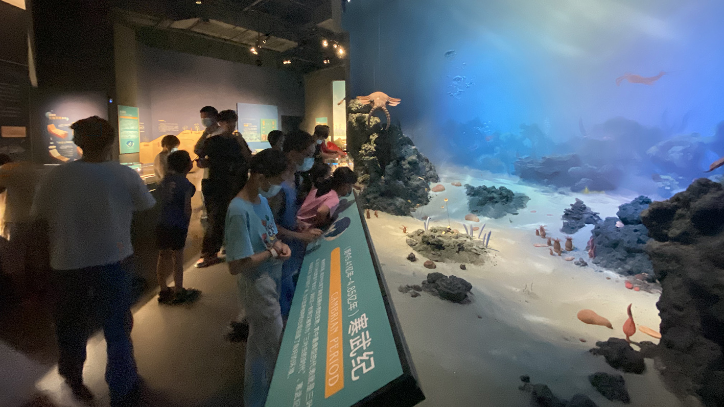 漫走設(shè)計(jì)丨打卡順德自然科學(xué)館，探索“快樂星球”！