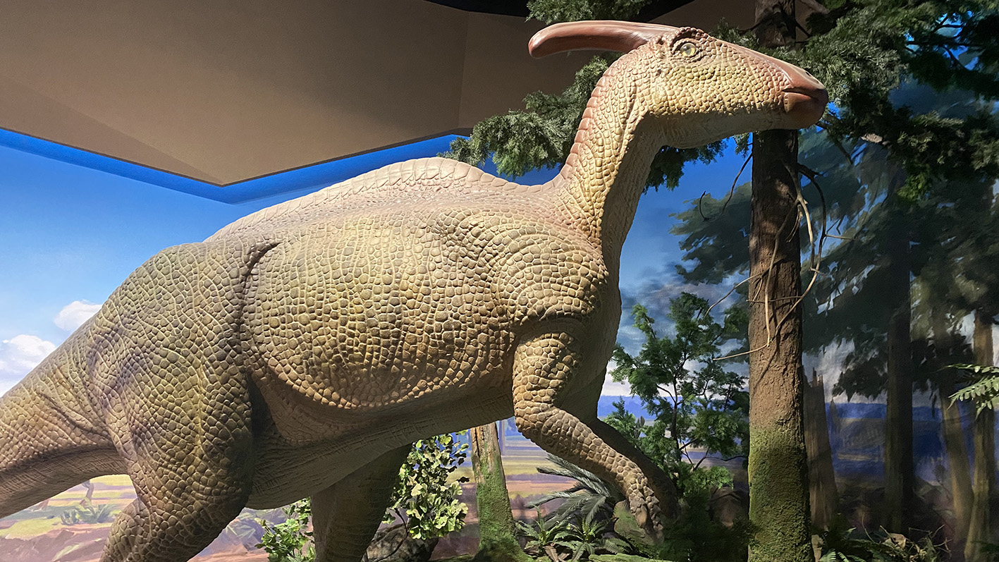 漫走設(shè)計(jì)丨打卡順德自然科學(xué)館，探索“快樂星球”！