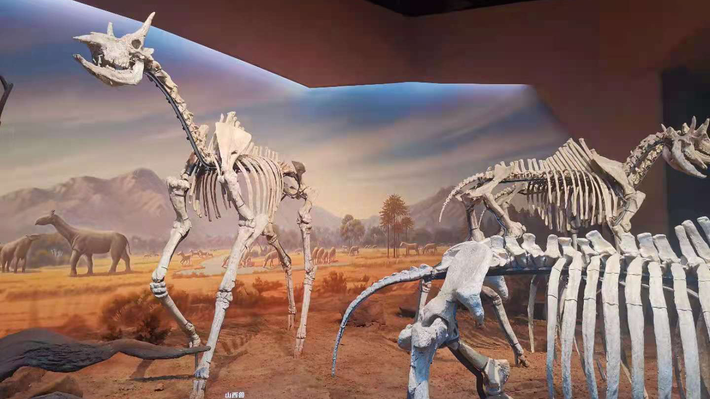 漫走設(shè)計(jì)丨打卡順德自然科學(xué)館，探索“快樂星球”！