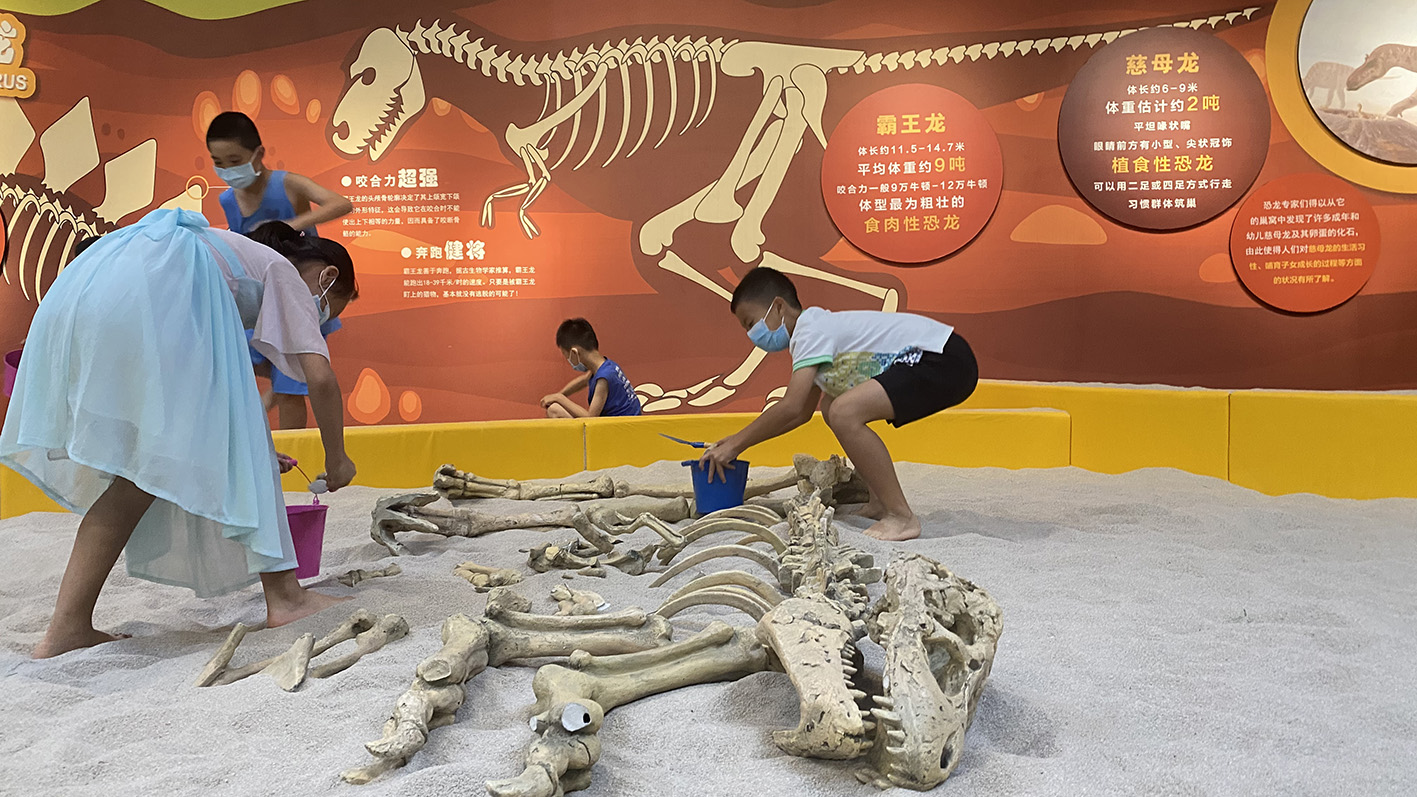 漫走設(shè)計(jì)丨打卡順德自然科學(xué)館，探索“快樂星球”！