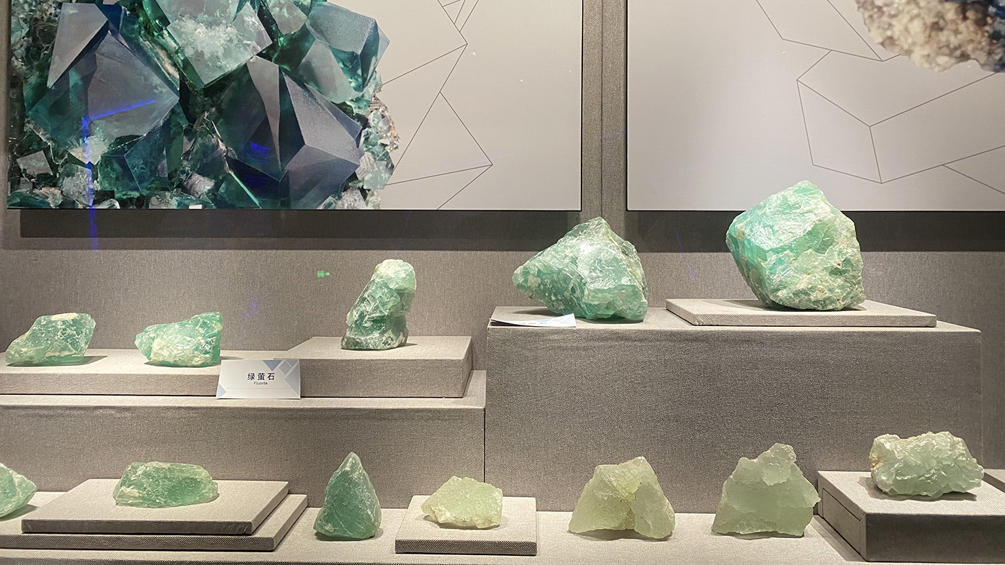 漫走設(shè)計(jì)丨打卡順德自然科學(xué)館，探索“快樂星球”！