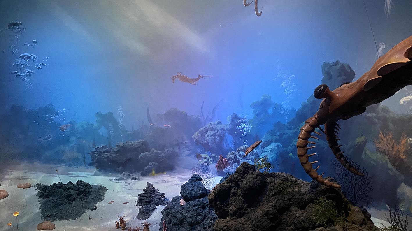 漫走設(shè)計(jì)丨打卡順德自然科學(xué)館，探索“快樂星球”！