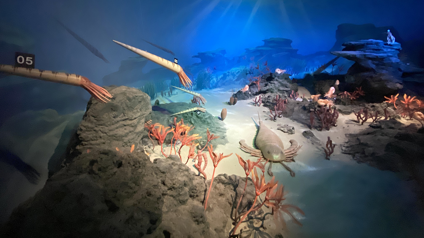 漫走設(shè)計(jì)丨打卡順德自然科學(xué)館，探索“快樂星球”！