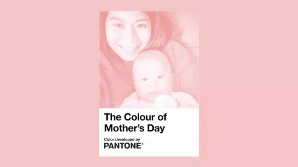 022春夏流行色火了，網(wǎng)友：好“色”好喜歡"