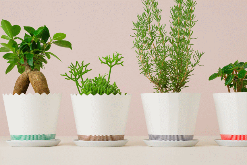 022，用這些設(shè)計(jì)給生活加點(diǎn)儀式感吧～"