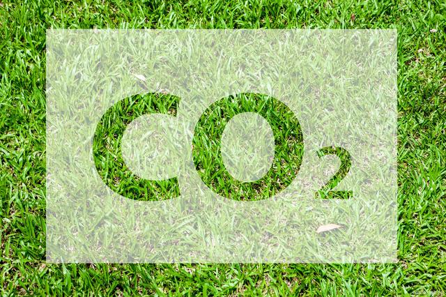 “2021年文化產業十大關鍵詞”及“2022年文化產業趨勢預測”