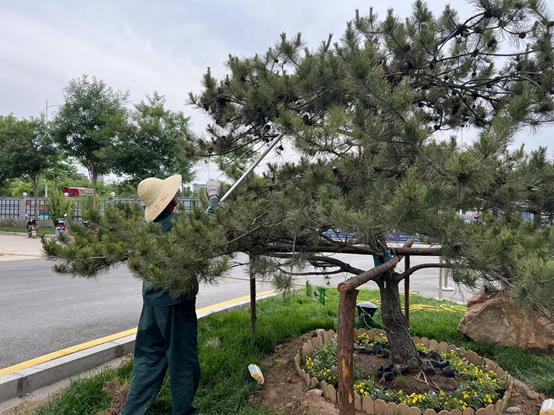 走進園區，感受夏日炎炎里的“理想之城”！