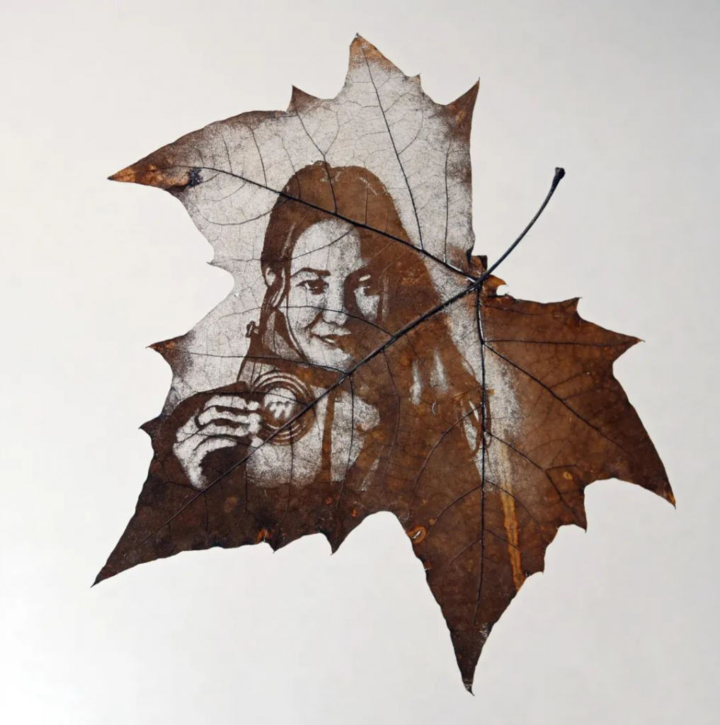 設計城好物甄選 | 葉雕——刻在葉子里的世界