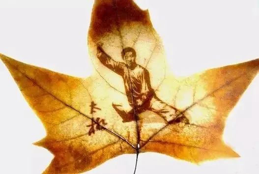 設計城好物甄選 | 葉雕——刻在葉子里的世界