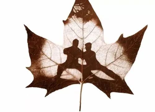 設計城好物甄選 | 葉雕——刻在葉子里的世界