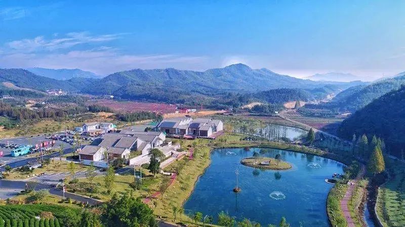 鄉村振興，請帶上設計的思維