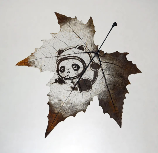 設計城好物甄選 | 葉雕——刻在葉子里的世界