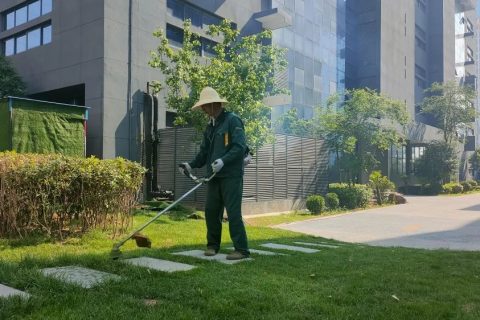 感受夏日，體驗涼爽，走進這座創(chuàng)業(yè)之城！