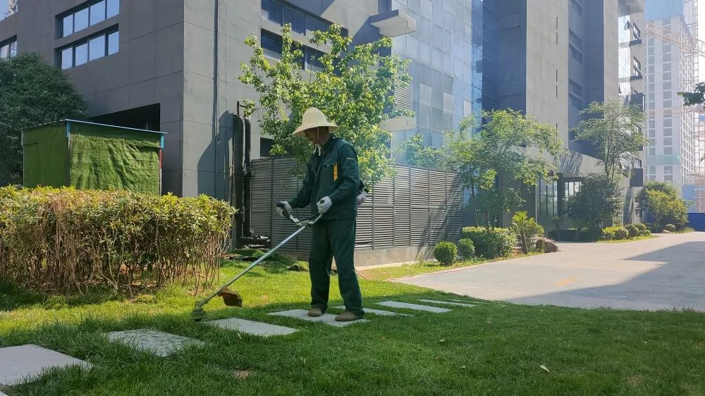 感受夏日，體驗(yàn)涼爽，走進(jìn)這座創(chuàng)業(yè)之城！