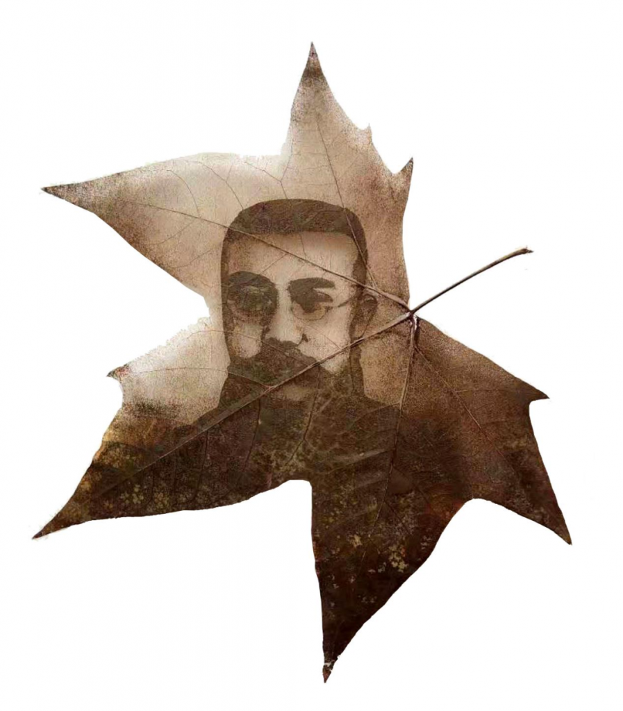 設計城好物甄選 | 葉雕——刻在葉子里的世界