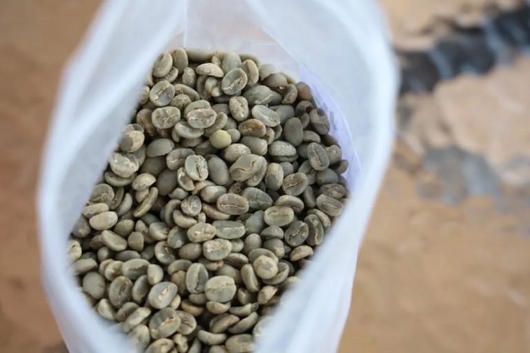 設計品牌故事 | 與咖啡結下不解之緣，和年輕人“味蕾”共舞