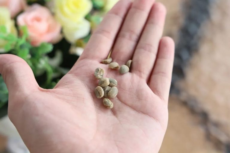 設計品牌故事 | 與咖啡結下不解之緣，和年輕人“味蕾”共舞