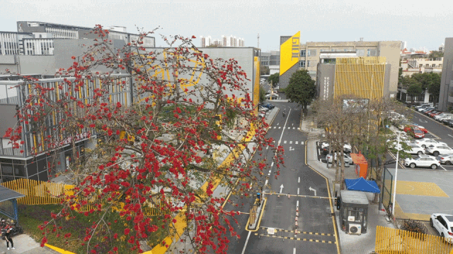 我城“設計新青年”出圈，擁抱千年瓷都景德鎮