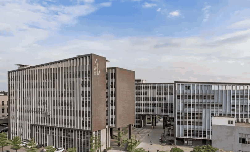 超萌來襲 | 設(shè)計城也有自己的Jellycat