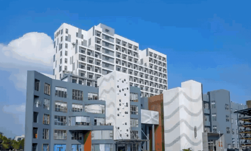 超萌來襲 | 設(shè)計城也有自己的Jellycat