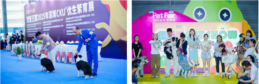 漫走設計 | 解鎖第13屆深圳國際寵物展 共探寵業新未來