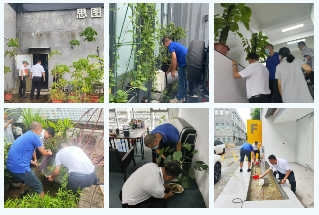 設(shè)計(jì)城“防蚊守護(hù)者”已就位，筑牢蚊媒傳染病防治防線